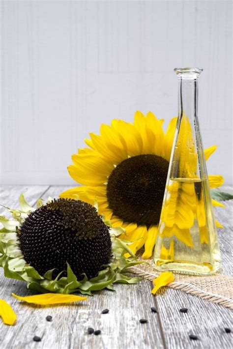Sunflower Prosperity Spells: Attracting Wealth and Good Fortune